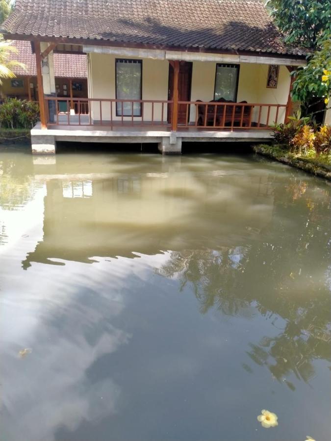 Villa Uma Ayu Sidemen Sidemen  Kültér fotó